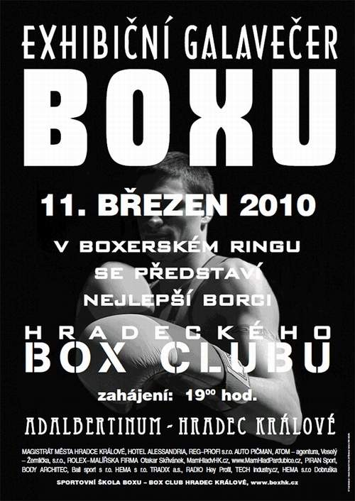 Exhibice boxe