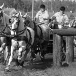 Mezinárodní závody spřežení – Rudolfův pohár