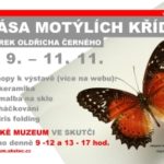 Krása motýlích křídel