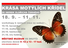 krasa_motylich_kridel_work