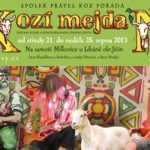 Mikulovicemi u Libáně otřese Kozí mejdan