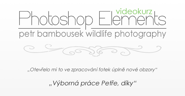 Soutěž o Videokurz Photoshop Elements