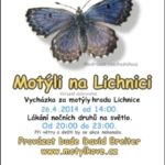 Motýli na Lichnici