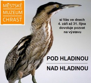 Příroda v Chrasteckém muzeu