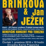 Benefiční koncert pro Terezku