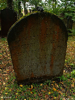 Dřevíkov