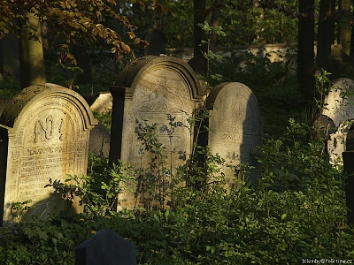 Po stopách... Židovské hřbitovy I., foto: Ivan Krejza