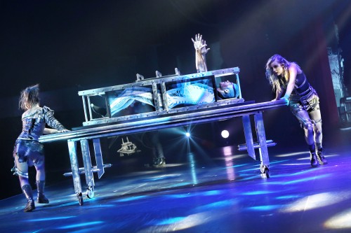 The Illusionists