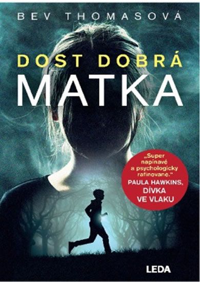 Dost dobrá matka - recenze knihy