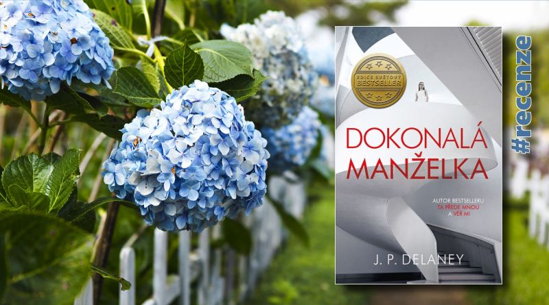 Dokonalá manželka - recenze