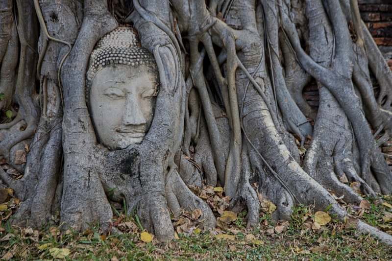 Thajsko - Budha