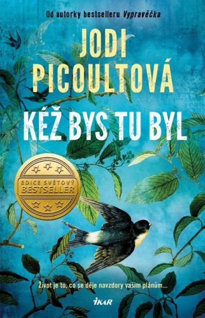 Kéž bys tu byl - recenze