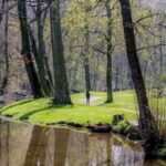 Za voňavým jarem: Dendrologická vycházka chrudimským parkem Střelnice